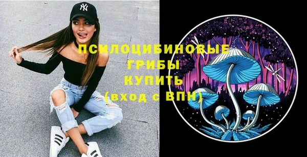 соль ск Кукмор