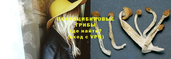 хмурый Куйбышев