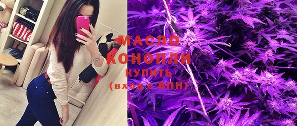 соль ск Кукмор