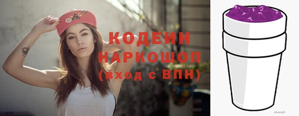 соль ск Кукмор