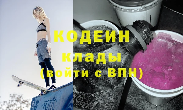 соль ск Кукмор